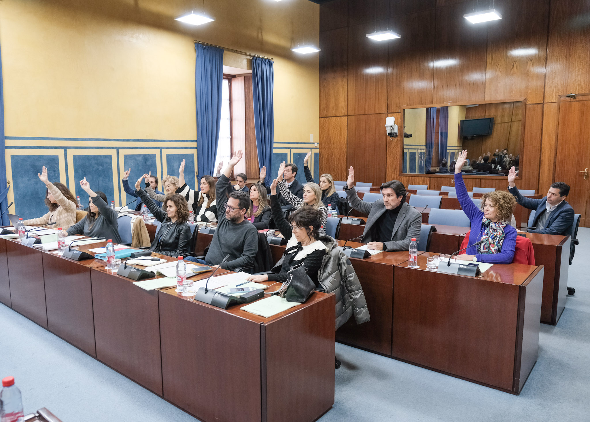 La Comisin de Salud y Consumo vota el dictamen sobre el Proyecto de Ley por el que se regula la Atencin Temprana en la Comunidad Autnoma de Andaluca 