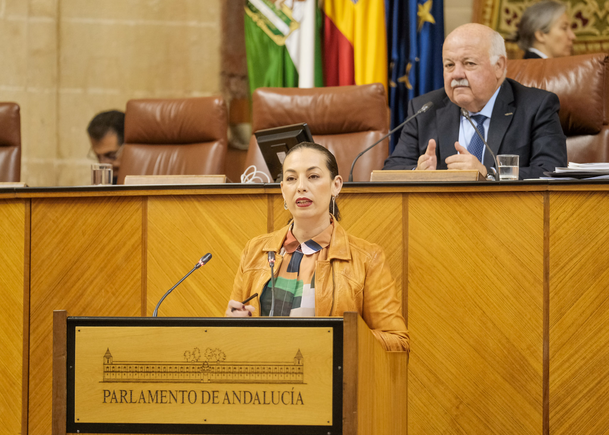  La diputada del Grupo Socialista Mara Mercedes Gmez defiende una interpelacin relativa a poltica general en materia de igualdad en Andaluca 