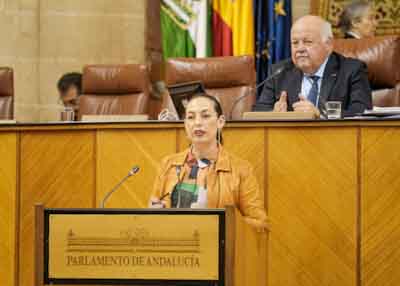  La diputada del Grupo Socialista María Mercedes Gámez defiende una interpelación relativa a política general en materia de igualdad en Andalucía 