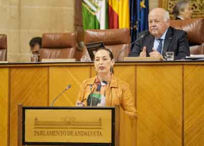  La diputada del Grupo Socialista Mara Mercedes Gmez defiende una interpelacin relativa a poltica general en materia de igualdad en Andaluca 