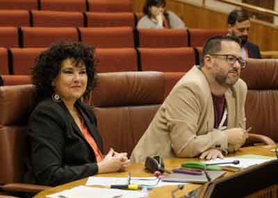 Los diputados del Grupo Mixto-Adelante Andalucía escuchan la respuesta de la consejera 