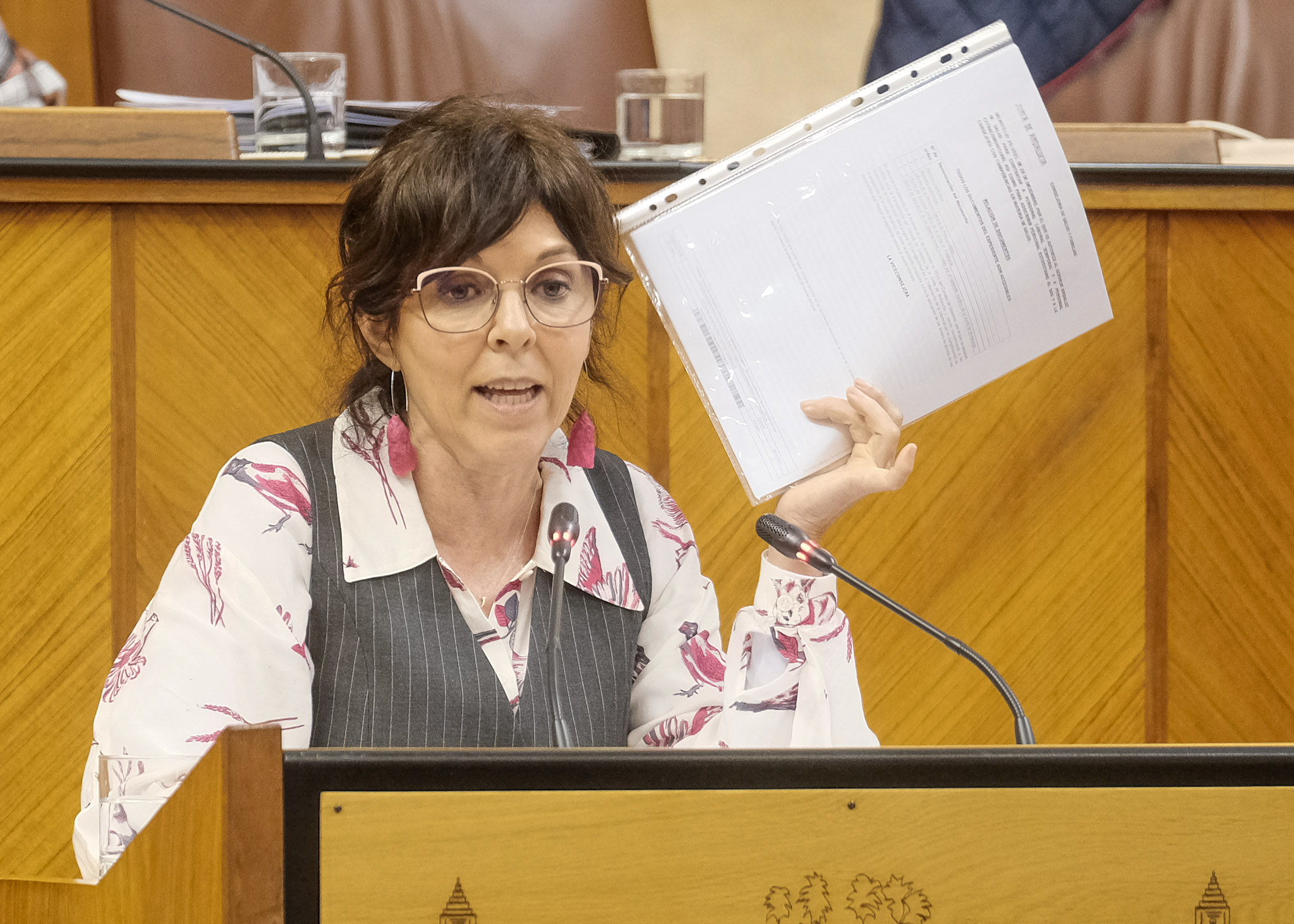    Mara ngeles Prieto, del Grupo Socialista, interviene en la PNL presentada por su grupo relativa a gasto farmacutico en Andaluca