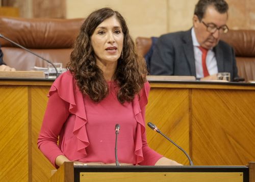   Silvia Heredia, diputada del Grupo Popular, defiende la PNL de su grupo relativa a compromiso con la igualdad y la lucha contra la violencia de gnero