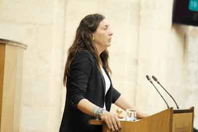  La consejera de Inclusin Social, Loles Lpez, presenta el proyecto de ley que modifica la Ley de los Derechos y la Atencin a las Personas con Discapacidad en Andaluca 