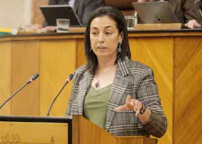   La diputada del G.P. Socialista Mara de las Mercedes Gmez defiende la postura de su grupo parlamentario en el debate final 