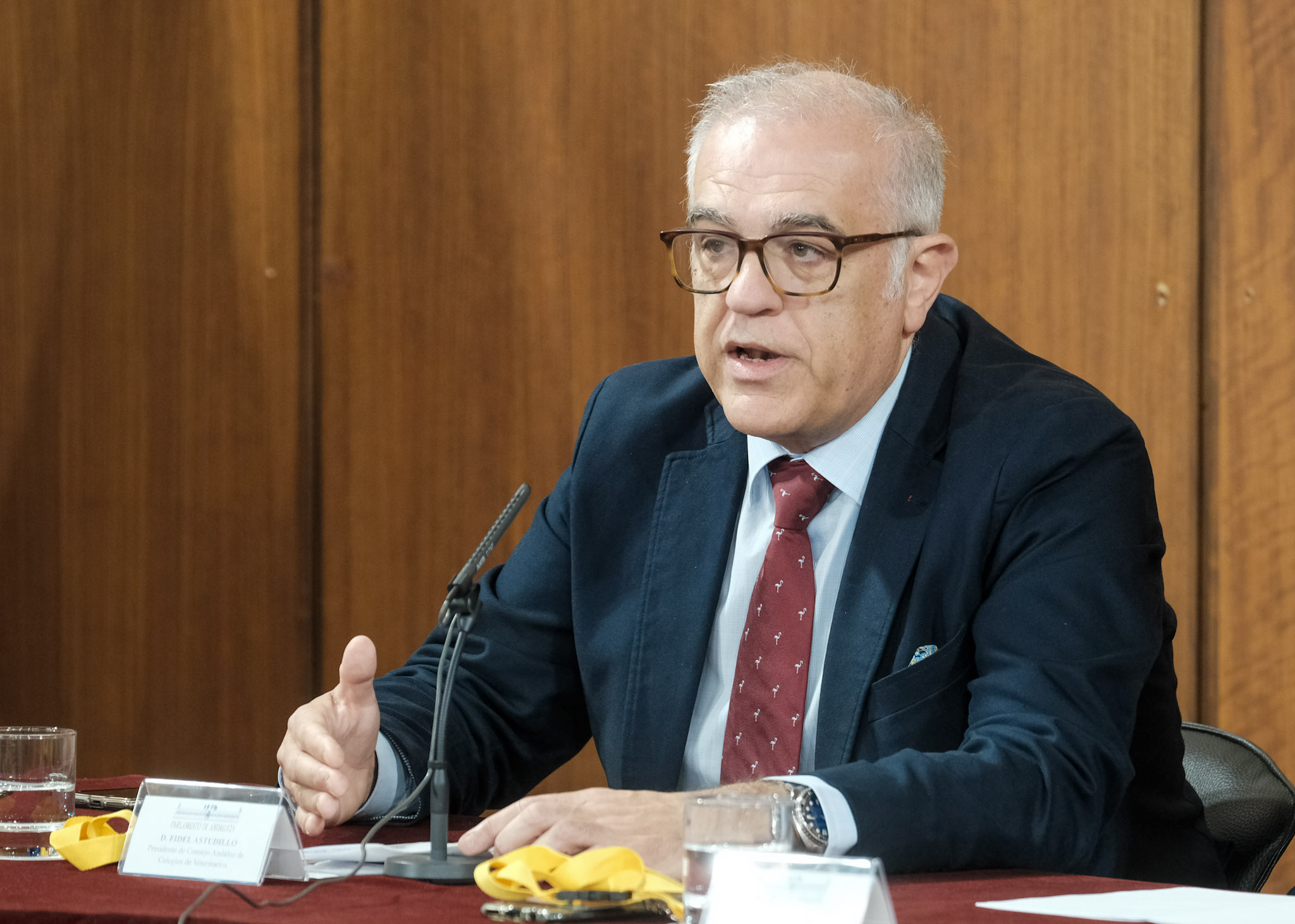 Fidel Astudillo, presidente del Consejo Andaluz de Colegios de Veterinarios, toma la palabra 