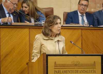  La consejera de Empleo, Roco Blanco, solicita al Pleno la convalidacin del Decreto Ley 1/2023 relativo a diversas medidas de su competencia  