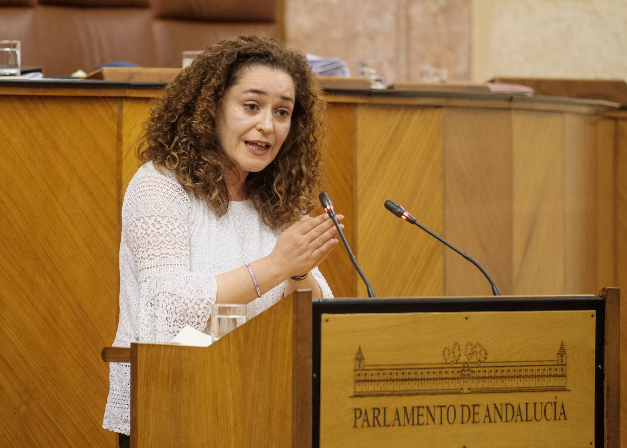 La portavoz del Grupo Parlamentario Por Andaluca, Inmaculada Nieto, interviene en el debate final del Proyecto de Ley Andaluza del Flamenco 
