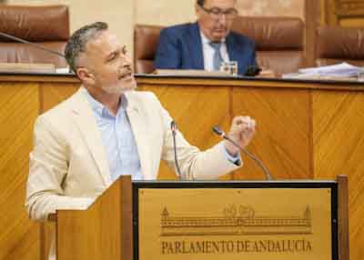 Por el Grupo Socialista el diputado Rafael Alonso Recio toma la palabra en el debate final
