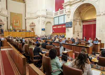 Otra perspectiva del Pleno durante las votaciones  