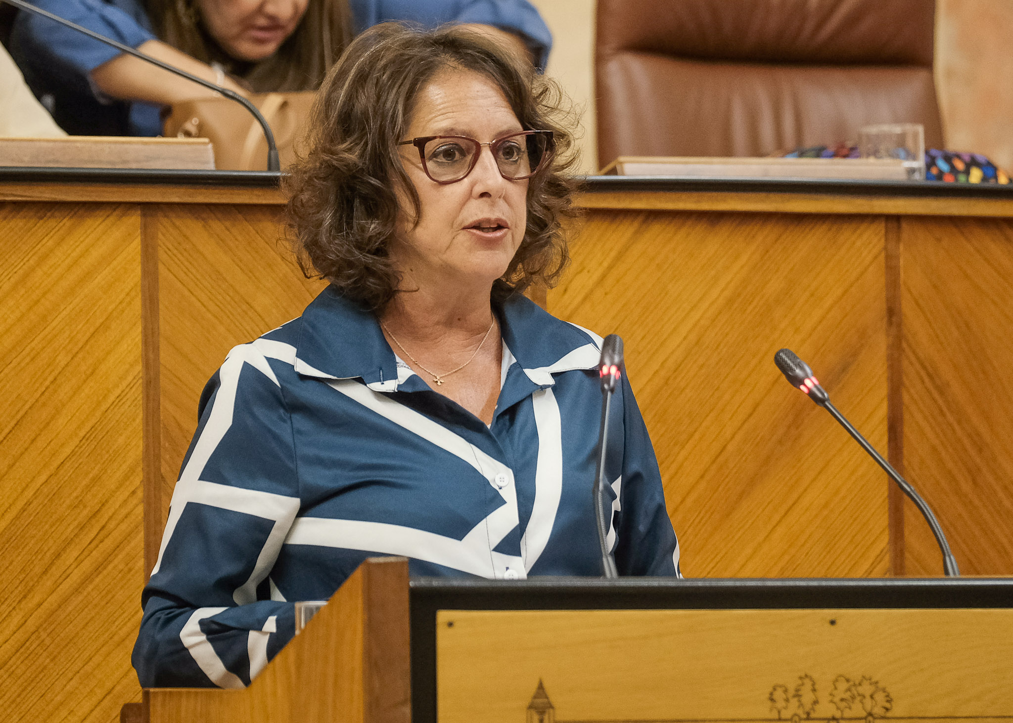 Catalina Garca, consejera de Salud y Consumo, comparece para informar sobre el final de la campaa de la gripe y el calendario vacunal

