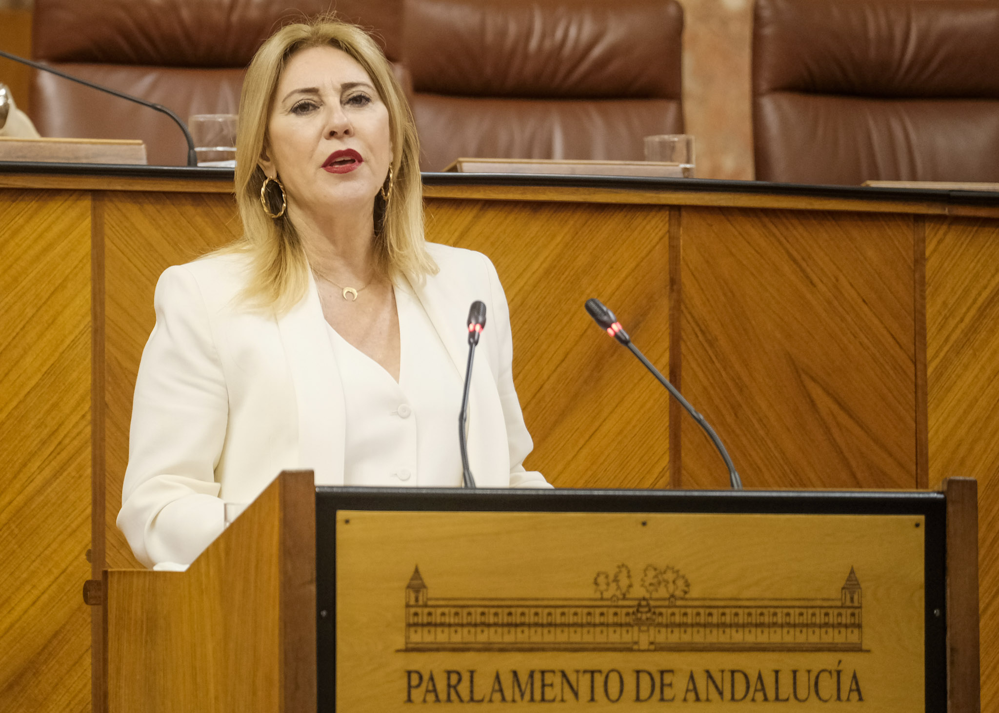 Carolina Espaa, consejera de Economa, Hacienda y Fondos Europeos, informa sobre los contratos por procedimientos de emergencias realizados por la Junta de Andaluca y sus entidades instrumentales 