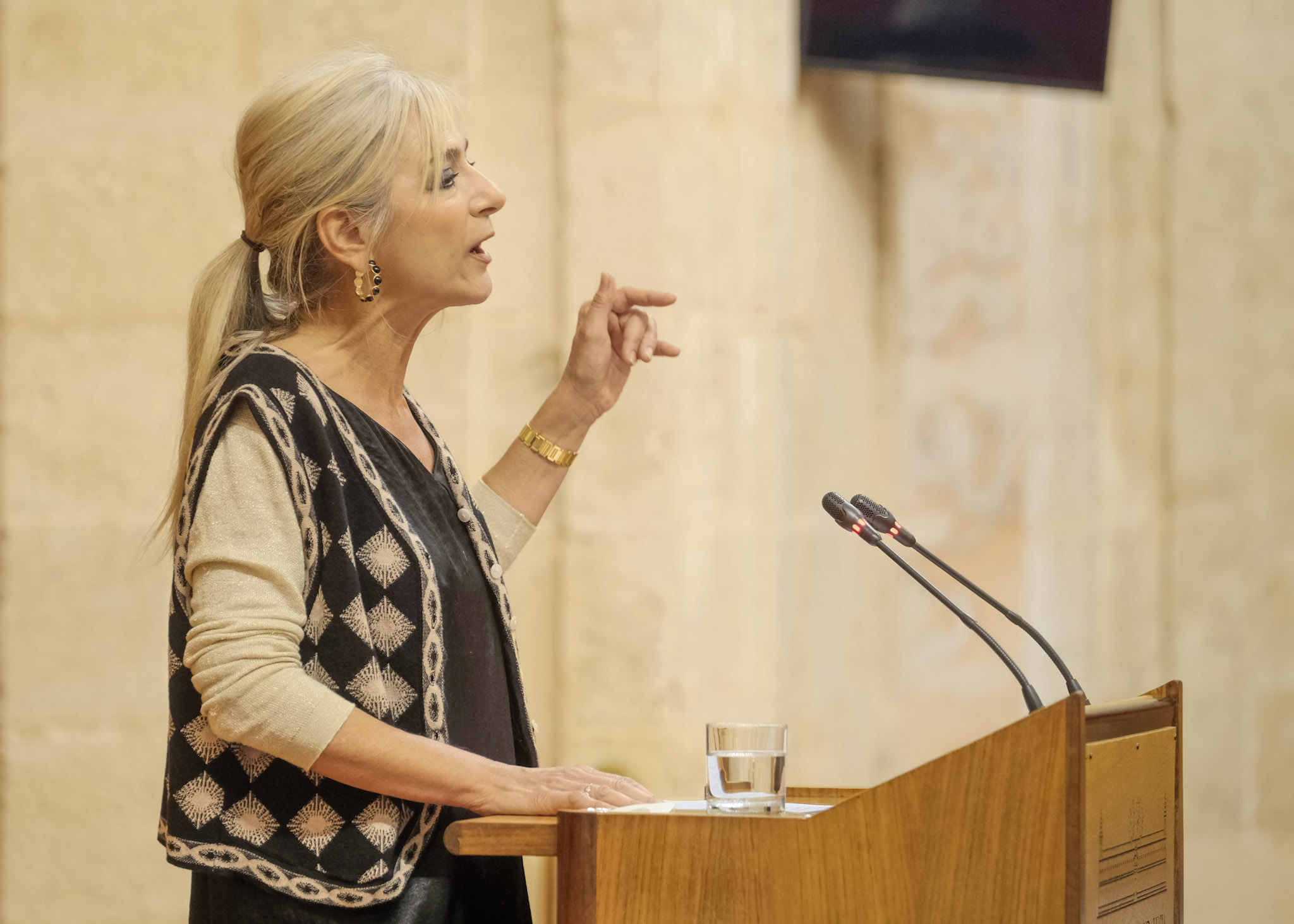 La consejera de Desarrollo Educativo y Formacin Profesional, Patricia del Pozo, contesta a la interpelacin 