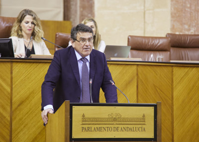 Por el Grupo Parlamentario Vox en Andaluca interviene para expresar la postura de su grupo el diputado Rafael Segovia 