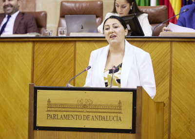 Alejandra Durn fija la posicin del Grupo Parlamentario Por Andaluca respecto a la mocin presentada por Vox 
