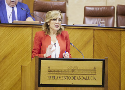  La diputada del Grupo Socialista Ana Mara Romero presenta un interpelacin relativa a poltica general en materia de infraestructuras de agua y recursos hdricos para paliar la sequa en Andaluca 