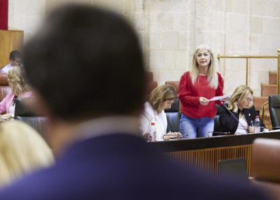 Patricia del Pozo, consejera de Desarrollo Educativo, contesta a la cuestin del diputado 