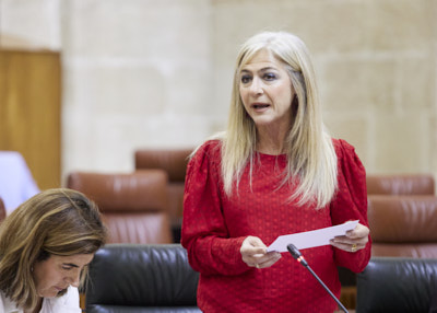 La consejera de Desarrollo Educativo y Formacin Profesional, Patricia del Pozo 