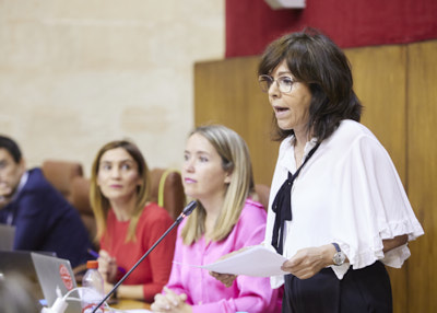 Mara ngeles Prieto, del Grupo Socialista, pregunta sobre el cierre de la unidad de salud mental infantil juvenil del Hospital Muoz Carianos de Sevilla 
