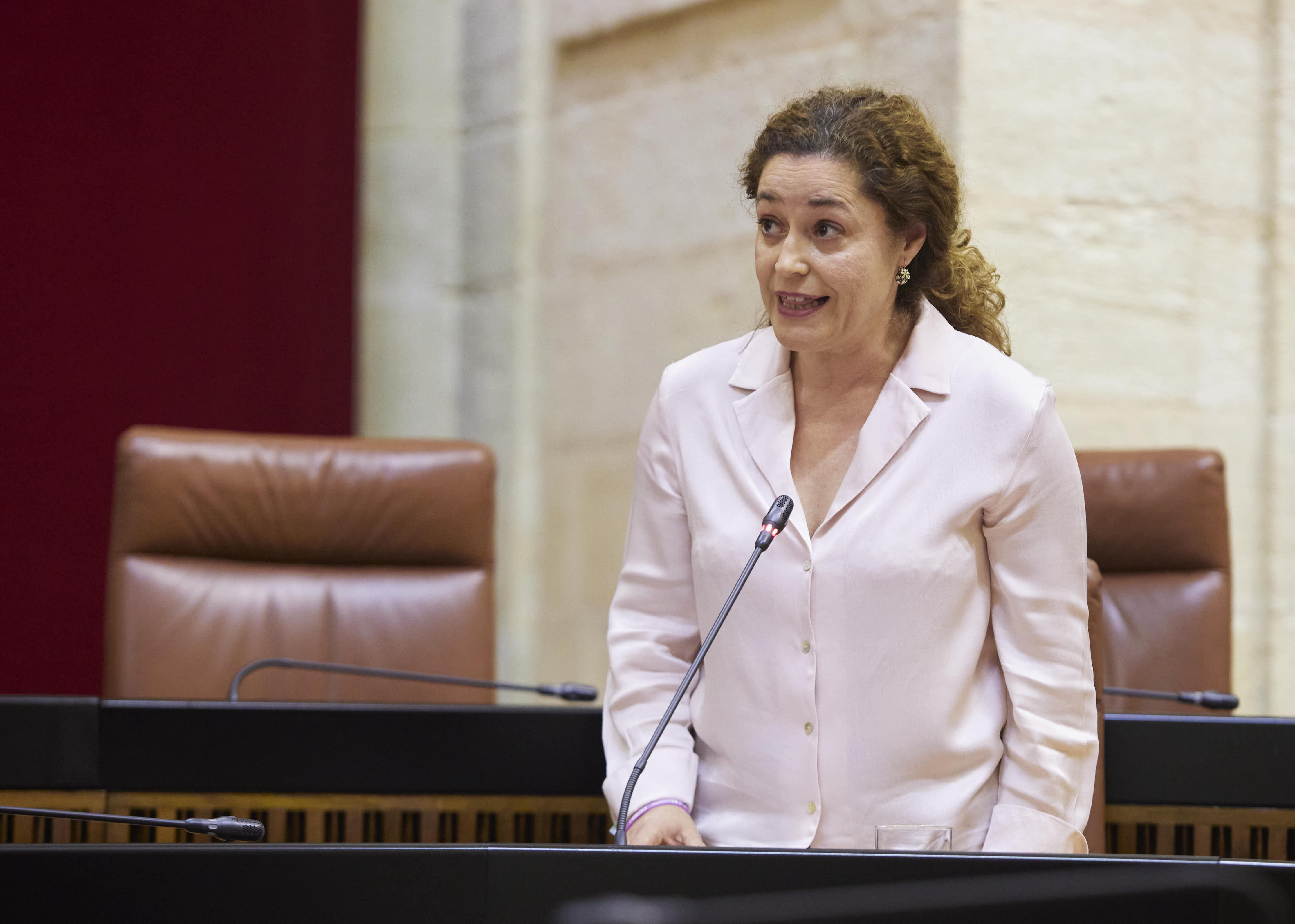 Inmaculada Nieto, portavoz del G.P. Por Andaluca, en su pregunta al presidente se interesa sobre la eficacia en la gestin de la Junta de Andaluca 