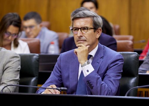 Jorge Paradela, consejero de Industria, Energa y Minas escucha la pregunta 
