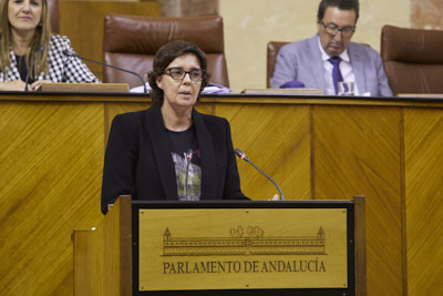 La diputada del Grupo Socialista Susana Rivas presenta al Pleno una proposicin no de ley 