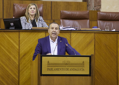  Jos Luis Ruiz Espejo, del Grupo Socialista, interviene ante el Pleno