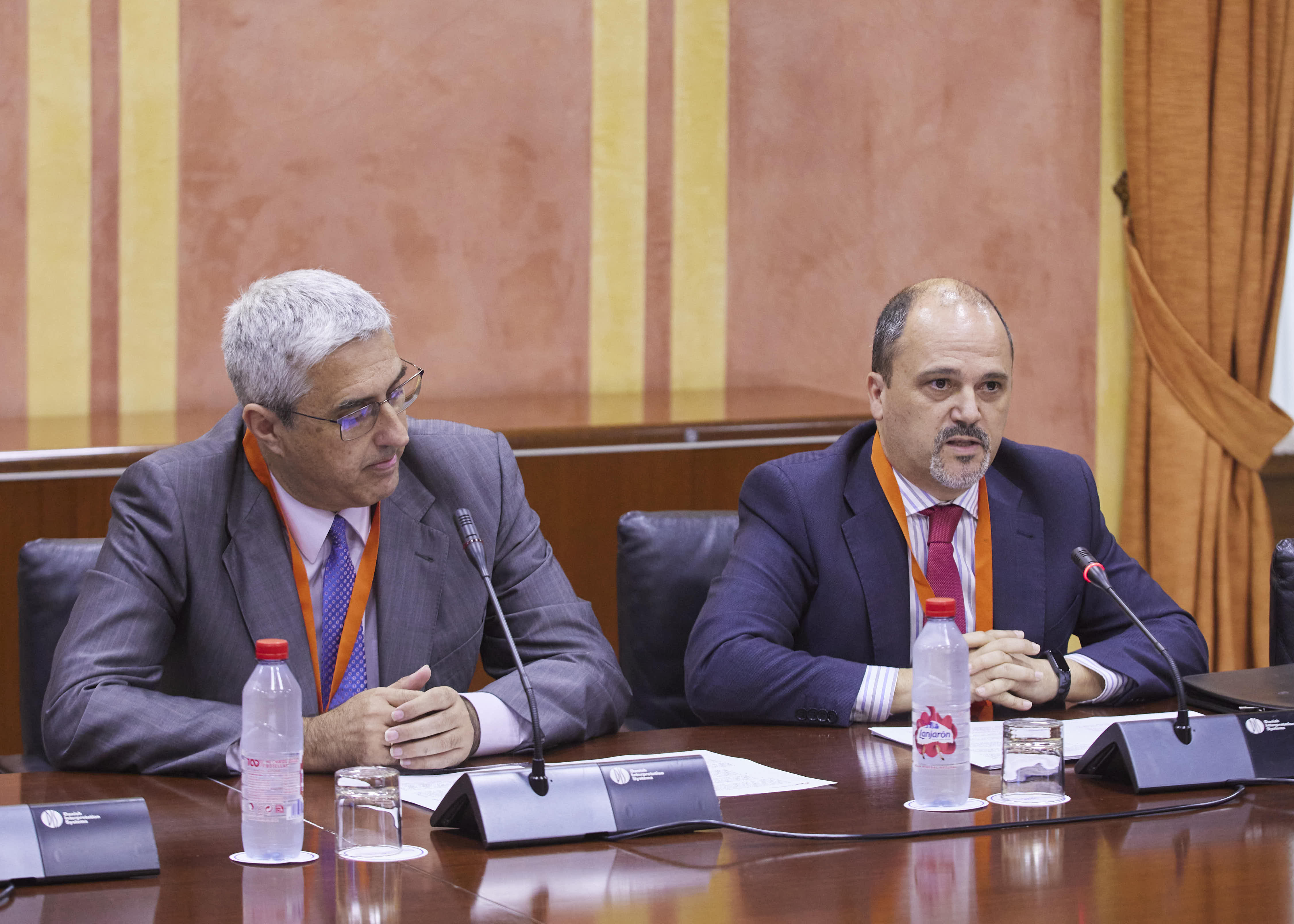 Luis Picn y Daniel Ron comparecen en representacin de la Confederacin de Empresarios de Andaluca (CEA) 