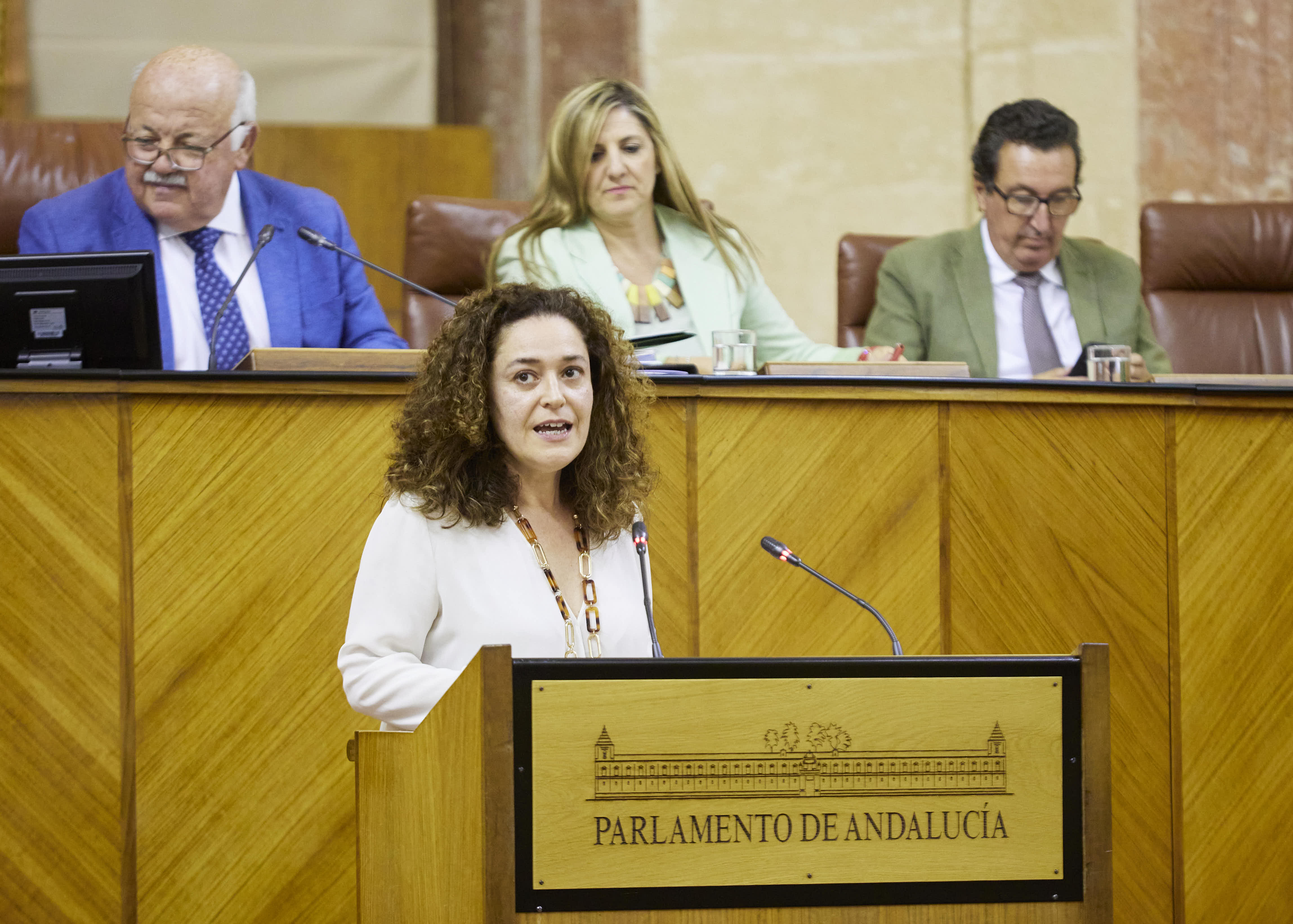  Para posicionar al Grupo Por Andaluca toma la palabra su portavoz, Inmaculada Nieto