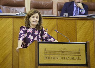 Esperanza Gmez, portavoz adjunta del Grupo Por Andaluca, interviene en el debate final del Proyecto de Ley de la Funcin de Andaluca