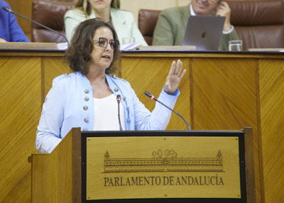 Catalina Garca, consejera de Salud y Consumo, comparece en un debate conjunto para informar sobre aspectos de la mejora de la Atencin Primaria en Andaluca 