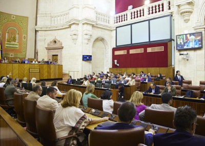 Inicio de las votaciones al final de la sesin 