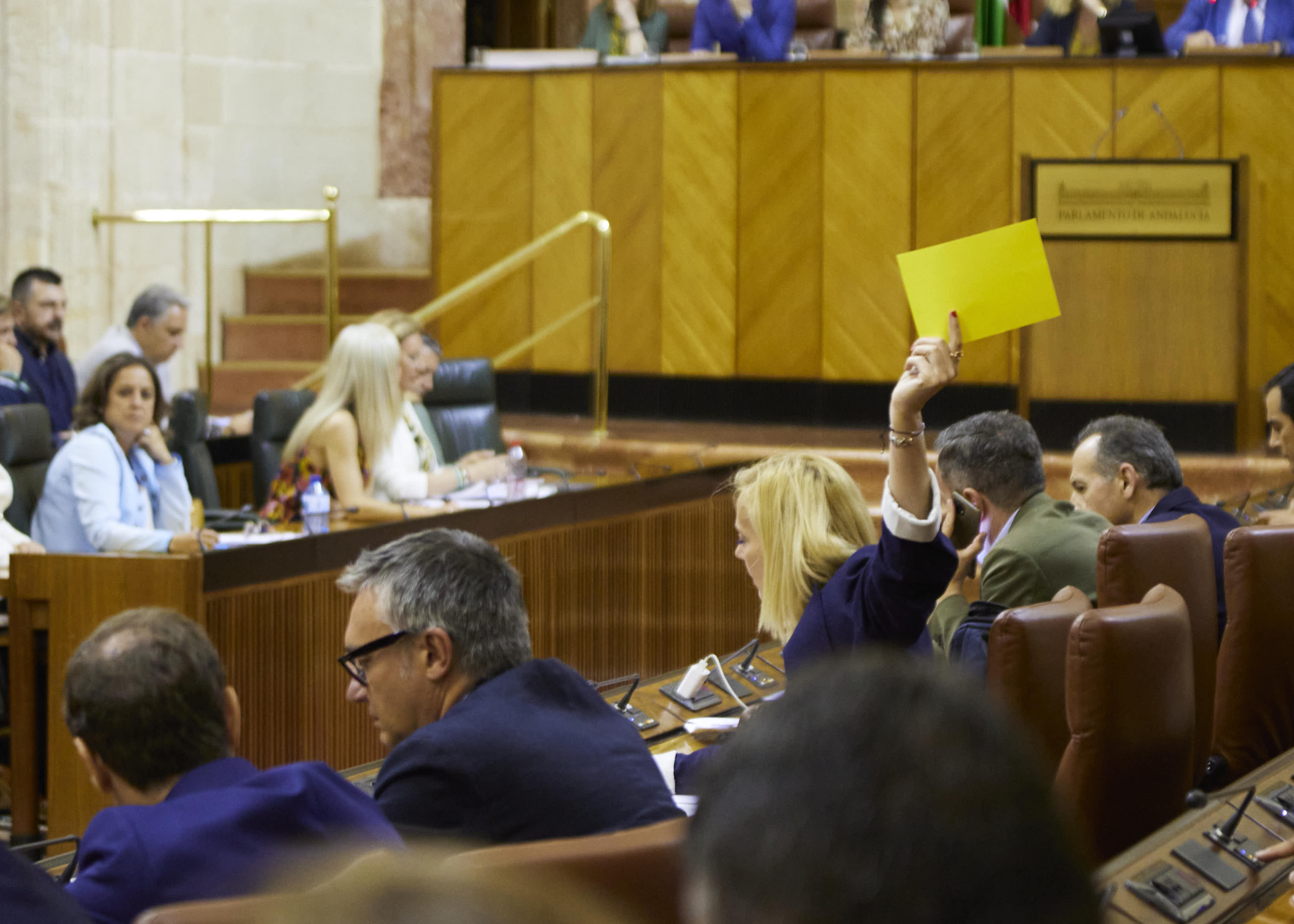 Perspectiva de uno de los momentos de votacin 