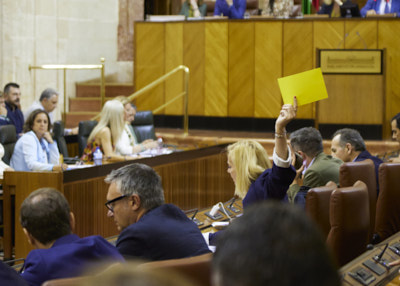 Perspectiva de uno de los momentos de votacin 