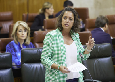  Catalina Garca, consejera de Salud y Consumo, responde en la sesin plenaria a las preguntas relativas a su mbito de competencia 