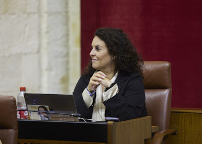   La diputada del G.P. Popular Ascensin Hita en un momento del pleno 