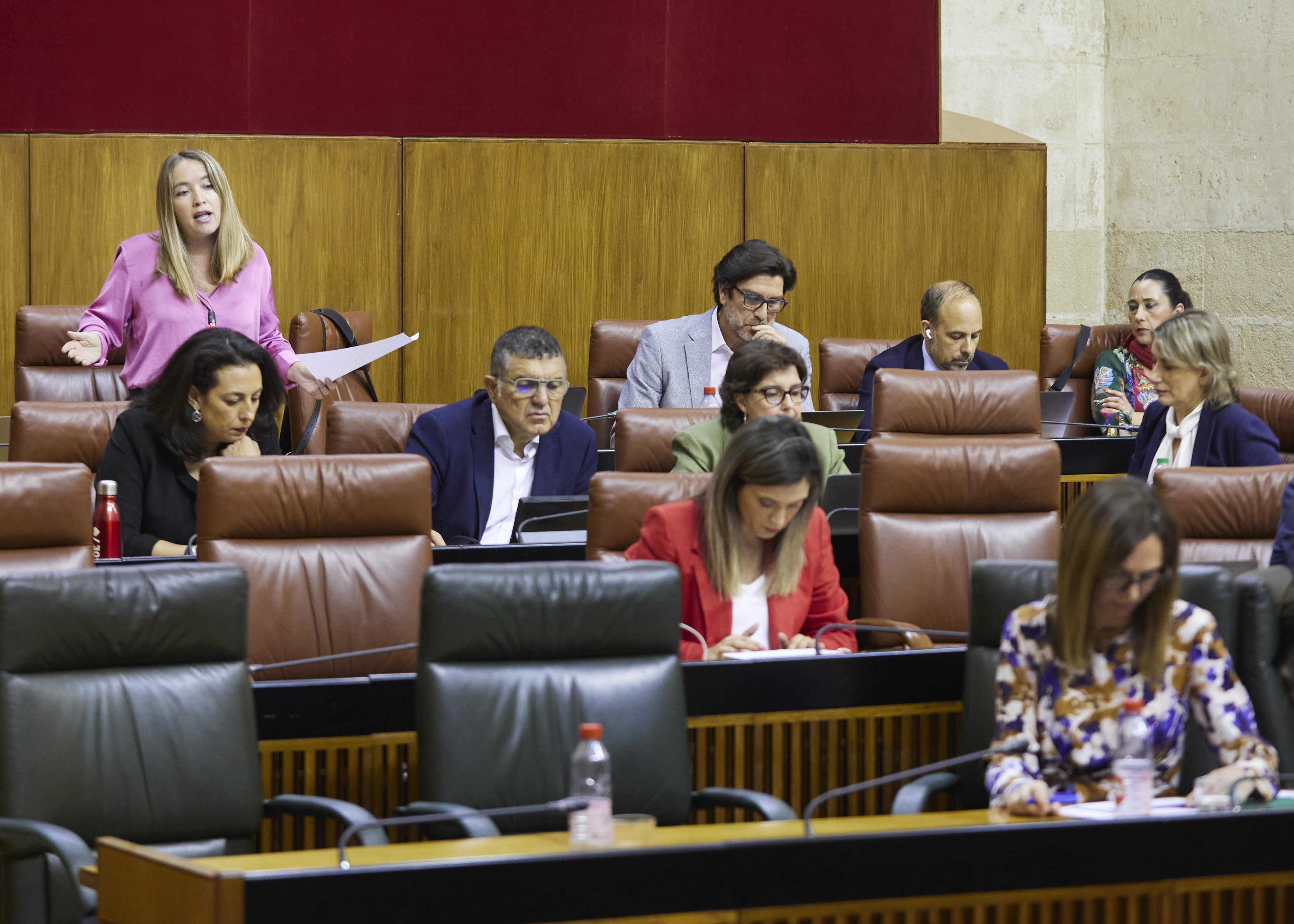 La diputada dirige la pregunta a la consejera de Fomento, Articulacin del Territorio y Vivienda 