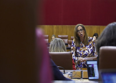 Roco Daz, consejera de Fomento, Articulacin del Territorio y Vivienda, contesta a la diputada 