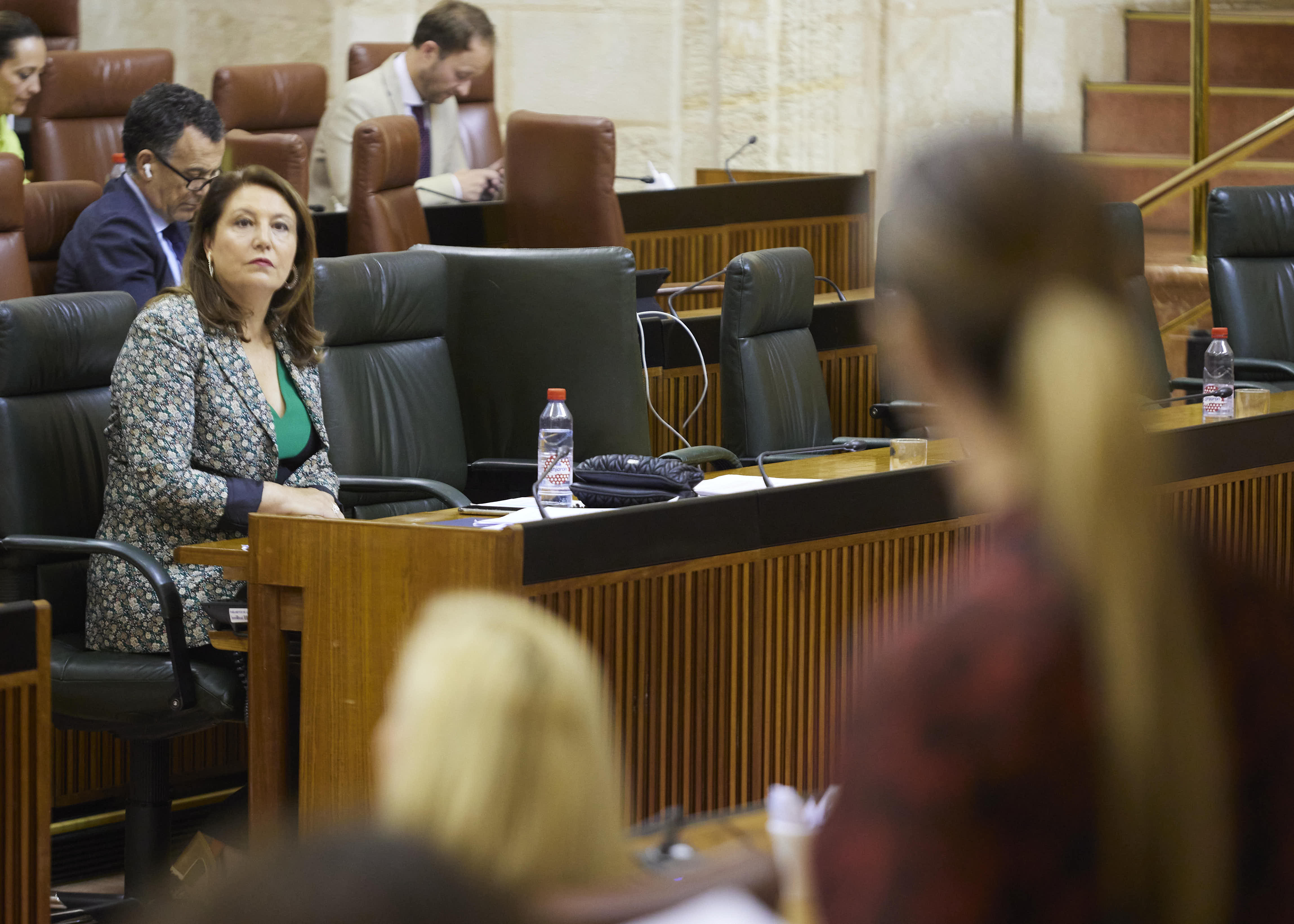 Carmen Crespo, consejera de Agricultura, escucha a la diputada 