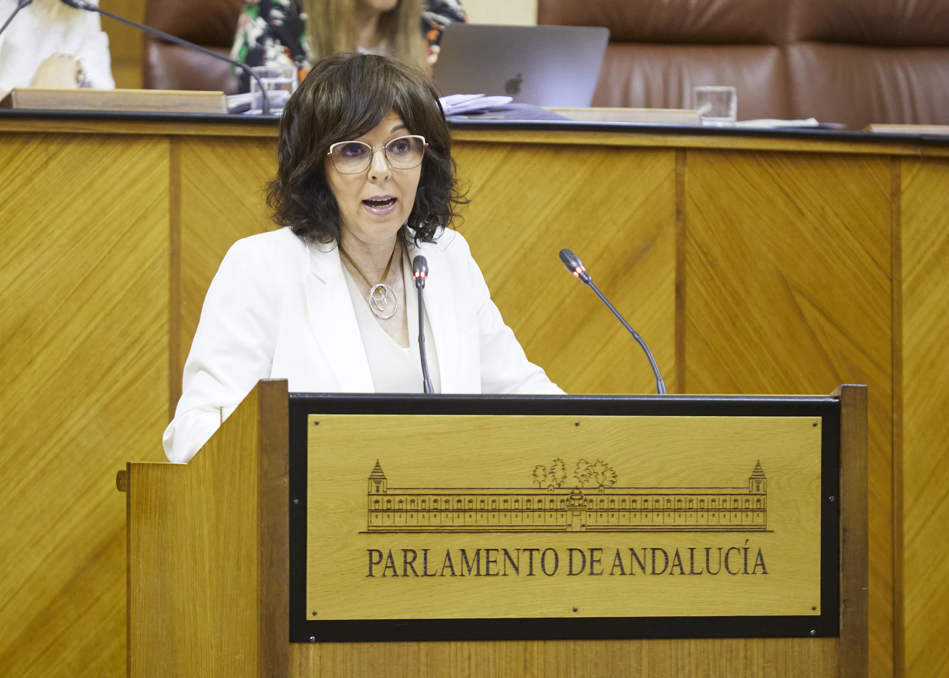  Mara ngeles Prieto defiende una proposicin no de ley en pleno, del Grupo Socialista, relativa al Plan de Verano 2023 en la sanidad pblica 
