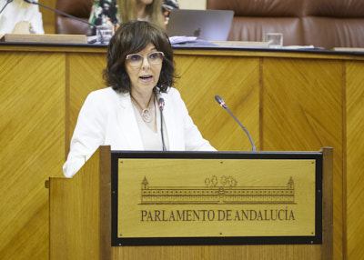  Mara ngeles Prieto defiende una proposicin no de ley en pleno, del Grupo Socialista, relativa al Plan de Verano 2023 en la sanidad pblica 