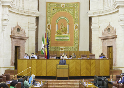   Imagen general de la sesin plenaria durante la presentacin de una proposicin no de ley en pleno 