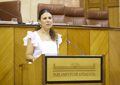   Ana María Ruiz, del Grupo parlamentario Vox, presenta una moción relativa a política general en materia de familia