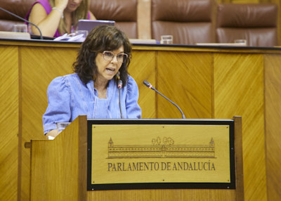  María Ángeles Prieto, del Grupo Socialista, interpela a la consejera de Salud acerca de política general en materia de atención sanitaria