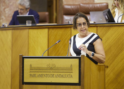  Catalina Garca, consejera de Salud y Consumo, responde a la interpelacin relativa a poltica general en materia de atencin sanitaria