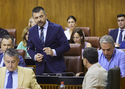  El portavoz del Grupo Popular, Antonio Martín, pregunta al presidente de la Junta de Andalucía