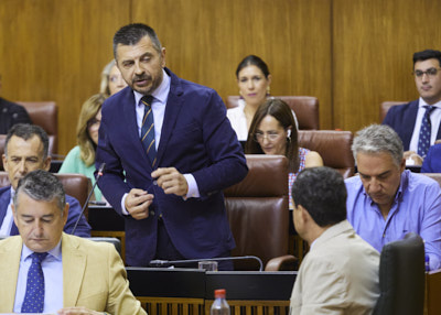  El portavoz del Grupo Popular, Antonio Martn, pregunta al presidente de la Junta de Andaluca