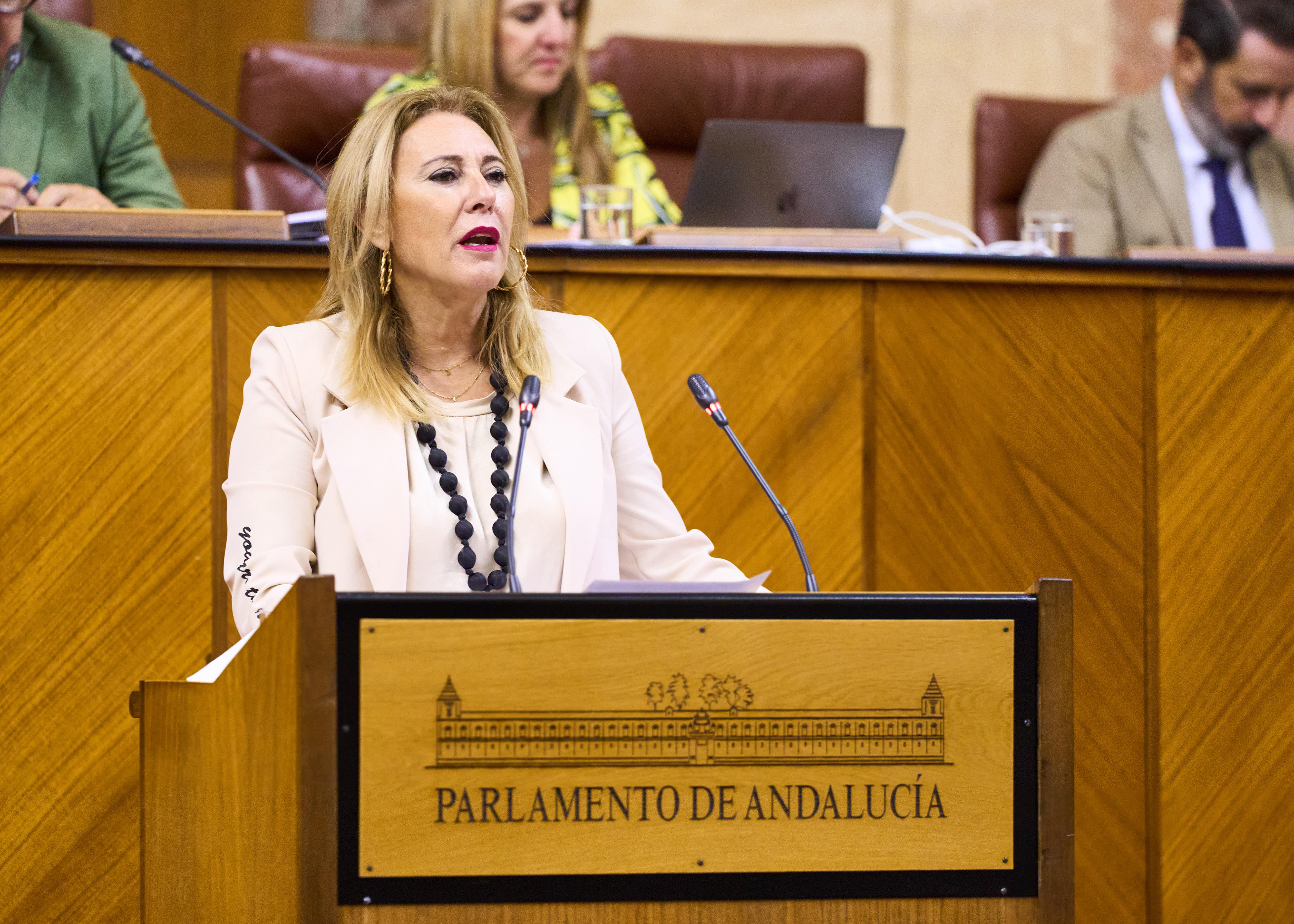  Carolina España, consejera de Economía, Hacienda y Fondos Europeos, interviene ante el Pleno