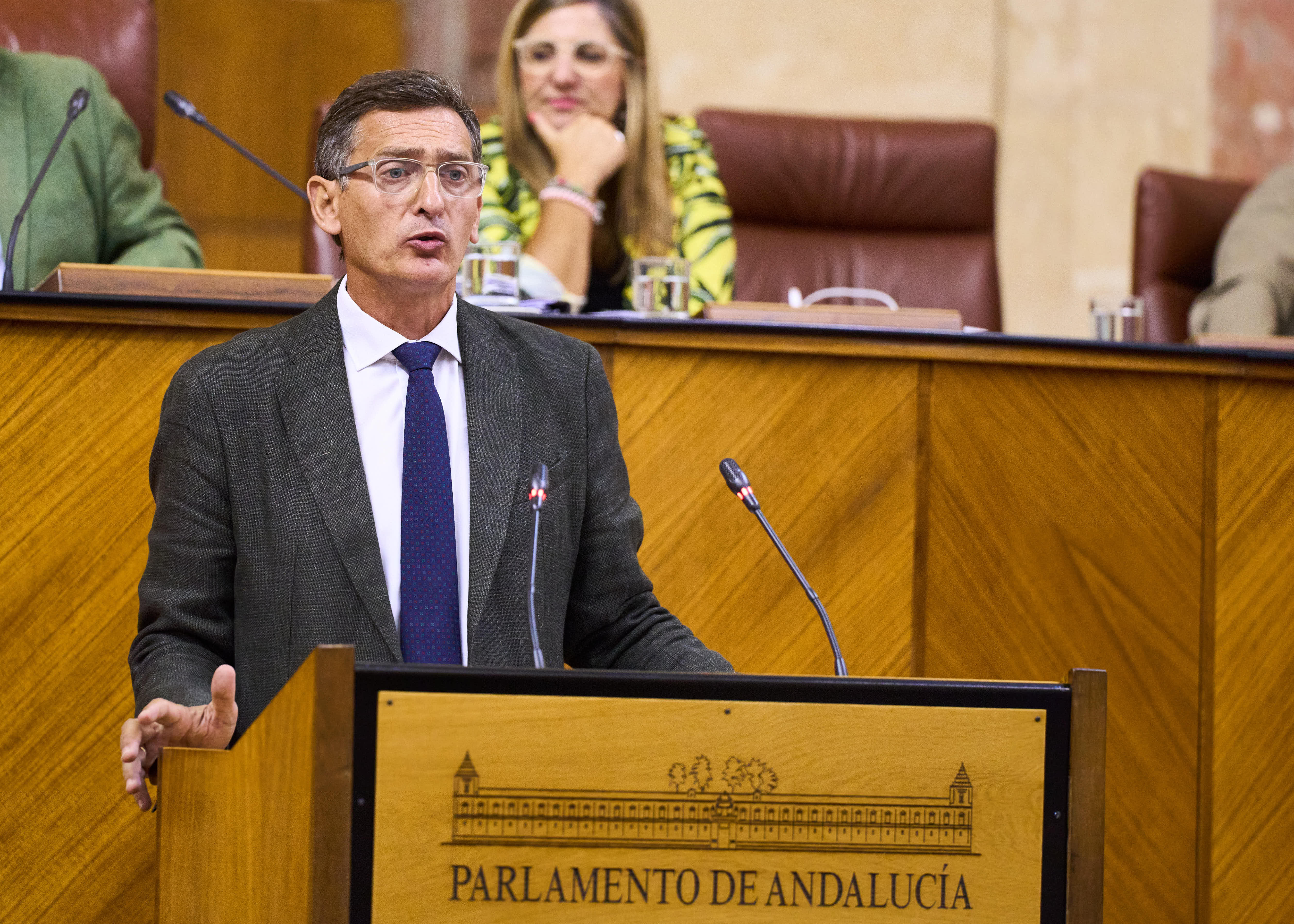 El diputado del Grupo Socialista Jos Luis Snchez Teruel interviene ante el Pleno 