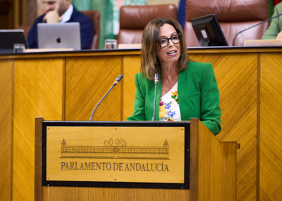  Rocío Díaz, consejera de Fomento, Articulación del Territorio y Vivienda, interviene ante el Pleno